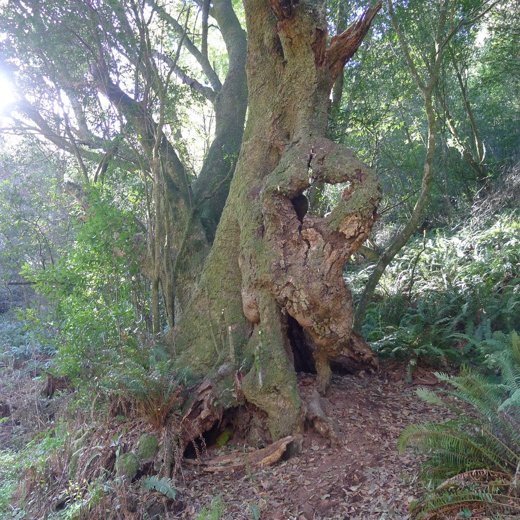 ArchRock 013